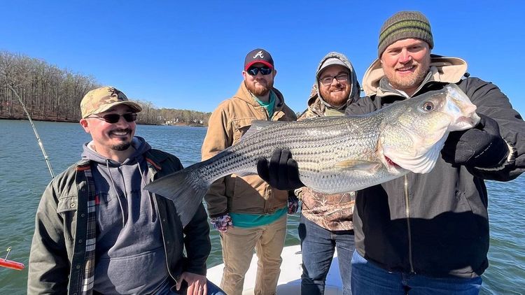 Striper Guides Lake Lanier